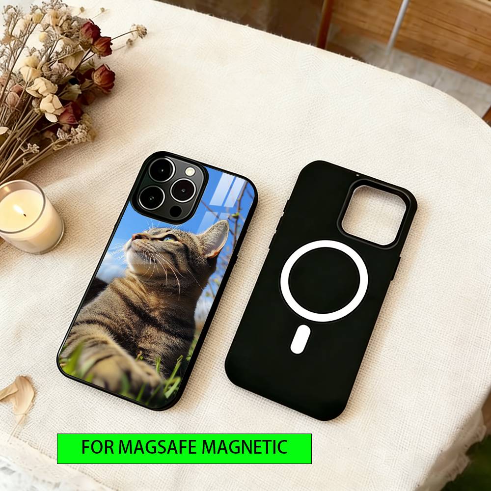 Милый кошачий вайб Чехол для телефона для iPhone 17, 16, 15, 14, 13, 12, 11 Plus, Pro Магнитный с Magsafe Беспроводная зарядка