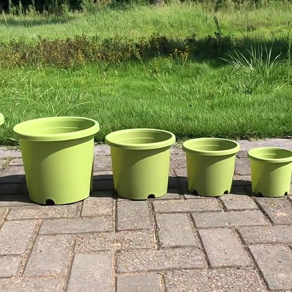 The New - Gallon Rose And Green Vine Plastic Flowerpot Of Four Seasons Flowerpot