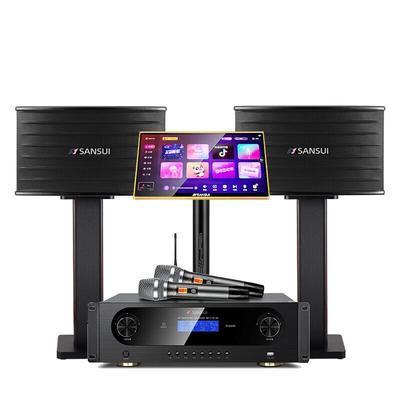 SANSUI KB10 Профессиональная домашняя караоке-система Штепсель CN (адаптер в комплекте)