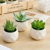 Современный стиль суккулентное растение в горшке Искусственные растения для дома В помещении Балкон Пластиковое растение в горшке Милый бонсай Домашний декор Подарки