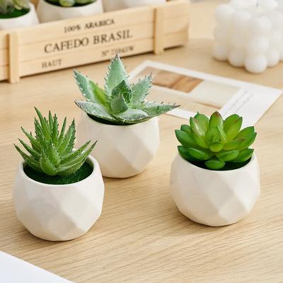 Современный стиль суккулентное растение в горшке Искусственные растения для дома В помещении Балкон Пластиковое растение в горшке Милый бонсай Домашний декор Подарки