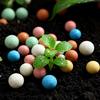300g/bag Colorful Ceramic Pebbles for Aquarium Tank Hydroponic Plants Greenery Succulents Bonsai Decoration Cover Stones 0.8-1cm