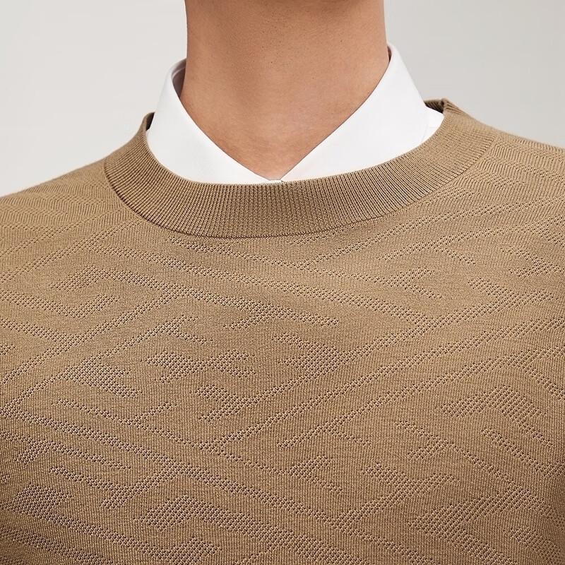 Men's Jacquard Round Neck Wool Blend Pullover Sweater