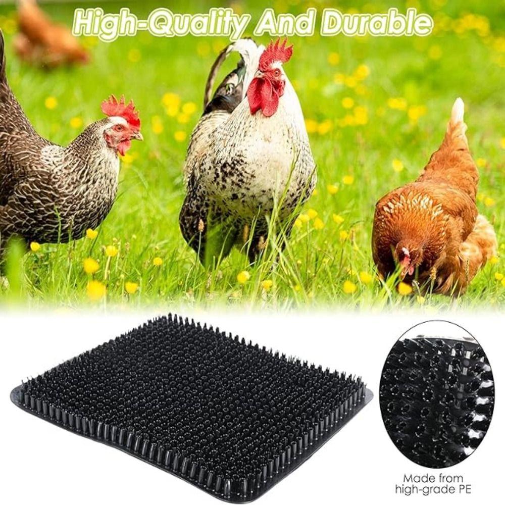 Plastic Chicken Bedding Mats Washable Chicken Cooping Mat Egg Laying Mats Prevents Cracked Egg