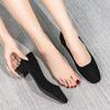 High-quality High-heeled Shoes for Women's 2025 Spring and Autumn New Versatile Black Professional Work Shoes Square Head Thin Heels Not Tired Feet S