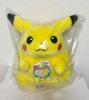TAKARA TOMY Плюшевая игрушка Пикачу к 30-летию, Добро пожаловать! [Совершенно новая, Нераспечатанная] Pokémon Возвращается! 1/1