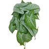 Simulated Plant Realistic Filming Prop Multi-purpose Practical No Wither Imitation for Office Use