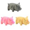 Durable Pets Accessories Teeth Cleaning Squeak Dog Chew Toys Rubber Sound Pig Latex Pet Chew Toys