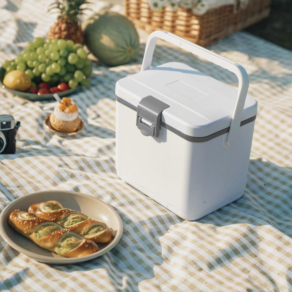 Изолированный портативный холодильник 4,5 л с ручкой, автомобильный холодильник для кемпинга, сохранение тепла, мини-холодильник с морозильной камерой для кемпинга, багажника
