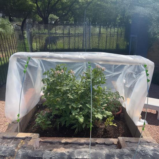 Greenhouse Plastic Sheeting Heavy Duty Clear Polyethylene Film UV Resistant Greenhouse Covering Tarp for Outdoor Hoop House Garden Farm Agriculture