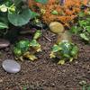 Horticultural Succulent Micro Landscape Frog Ornament, Resin Simulation Crafts, Car Interior Decoration Baking And Landscaping Accessories