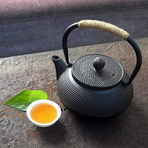 HwaGui Minami Iron Teapot, Ironware, Teapot, Induction Compatible, Direct Heat, Iron Supplement, 600ml