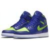 Jordan Air Jordan 1 Retro High Concord 705300-407