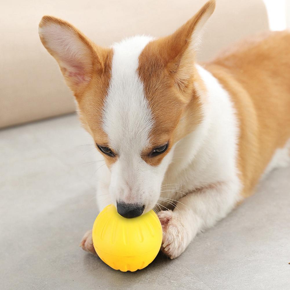 Portable Durable EVA Yellow Solid Bite Resistant Floating Pet Dog Training Ball Chew Toys