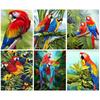 Искусство Алмазная картина Попугаи Алмазная вышивка Наборы Подарочная мозаика Алмазная полная круглая настенная живопись