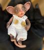 4-5Inch Silicone Cat Reborn Dolls Mini Palm Full Body Soft Silicone Bebe Reborn Doll Toys For Kids Birthday Gifts De Silicona