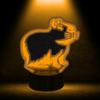 Children's Night Lamp Capybara Capybara 16 Led 3D + Remote Control