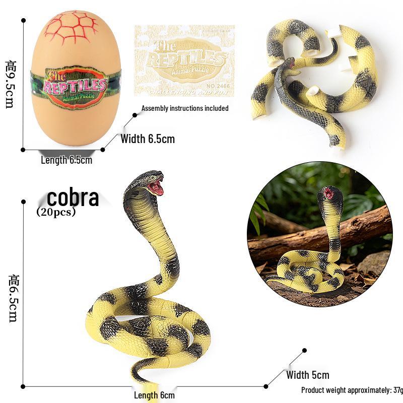 4D Stereo DIY Animal Model Kit: Eagle, Scorpion, Gecko, Rattlesnake, Spider, Lizard, Squirrel, Hedgehog