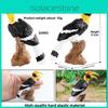 Animal Model Wildlife Solid Plastic Parrot And Hornbill Figures For Gift Kids