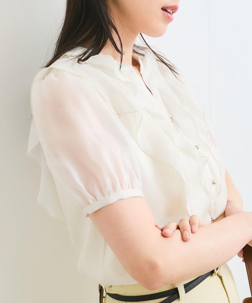 Блузка Прозрачная с оборками Короткий рукав Блузка для Натурального [BIS] [Стирка] Женщины, (16)