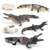 Simulated Forest Animal Crocodile Growth Cycle Chinese Alligator Growth Process Animal Model Doll Static Ornament