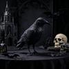 Украшение на окно Ворон Реалистичный Дизайн Орнамент, с Текстурой Перьев Текстурой Статуи, Устойчивое Основание Водонепроницаемый Устойчивый к Солнцу Готический