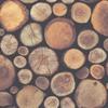 World of Wallpaper Logs Wallpaper