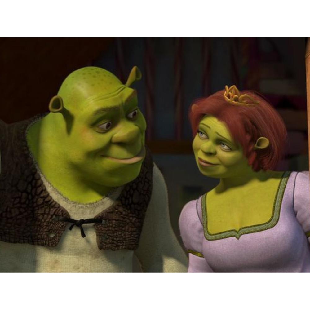 Malowanie Po Numerach Z Ramą Obrazy Do Malowania Shrek I Fiona 50X40 Cm