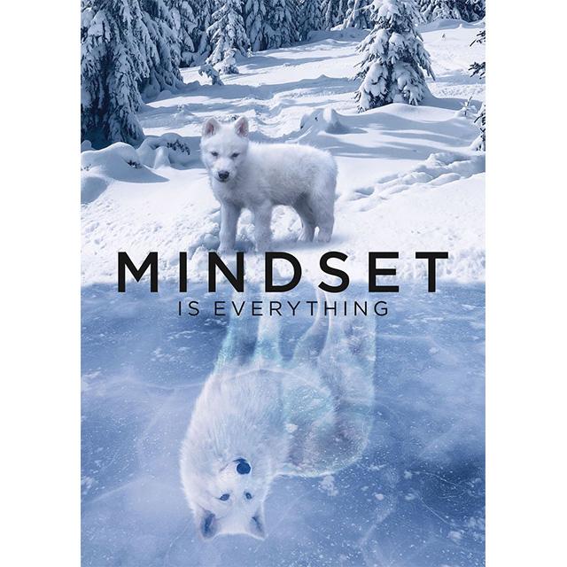 Animal Mindset Is Everything Inspirational Prints Poster Canvas Painting Modern Wall Art Pictures Living Room Bedroom Home Decor
