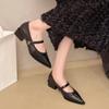 Fashion 2025 New  Spring and Autumn Women's Jane Pointed Shoes Korean Style Ladies' Casual High Heels Work and Party Wear
