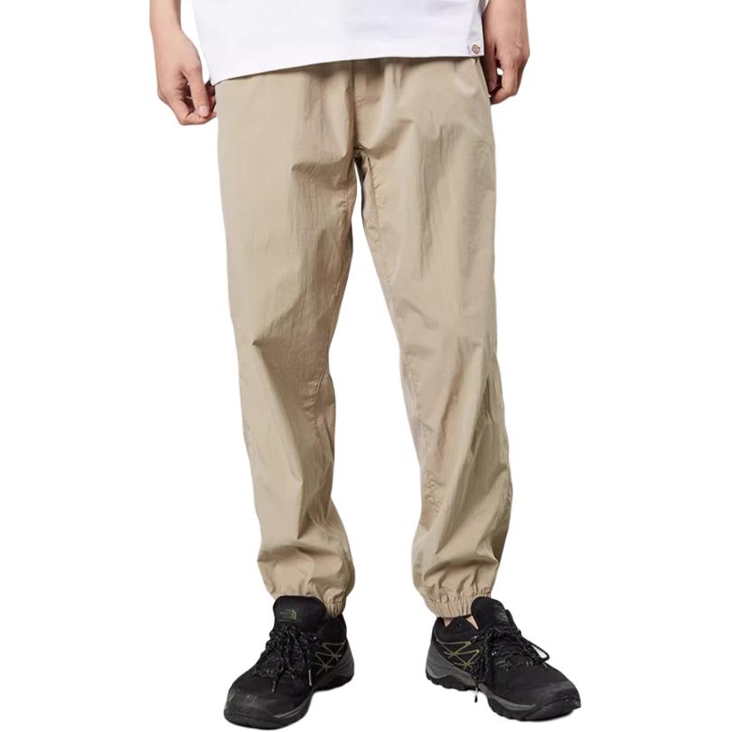 Dickies Повседневные брюки мужские SS24 DK013079