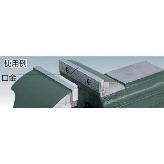 TRUSCO Rotating Table Vise and Fixing Screw Set for Bench Vise TRV-100KB BV-100SN