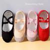 5 colors Ballet Dance Shoes Soft Sole Adult Dance Slippers Ballerina Shoes  for Women