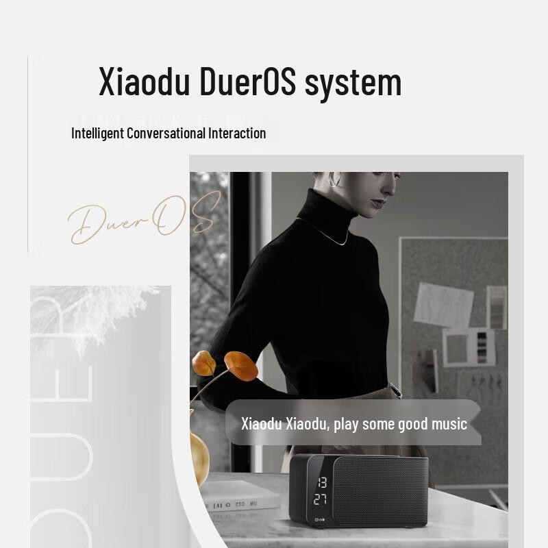 XiaoDu Smart Speaker Mate