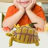 Turtle Cognitive Toys Adorable Delicate Plastic Galapagos Tortoise Decoration Model for Kids
