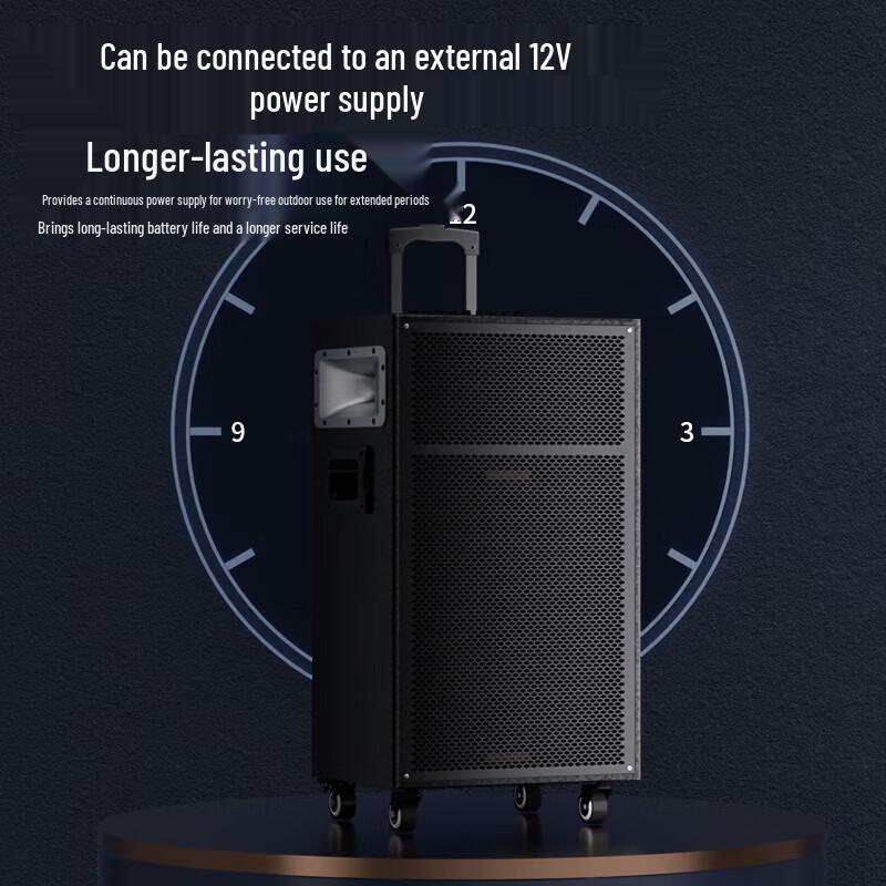 Newman N550 12-inch Portable Outdoor Bluetooth Speaker with Microphone