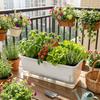 Self Watering Hydroponic Plant Pots Thicken Plant Nursery Pot Seedling Tray  Home Planting