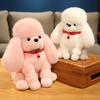 Cute Poodle Doll Plush Toy June 1 Children'S Day Gift Puppy Doll Girl Gift
