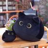 25 см Милые плюшевые игрушки в виде черных кошек, мягкие, приятные к коже, очаровательные декоративные подушки, пушистые, изысканные домашние украшения, подарки для друзей