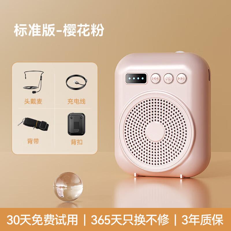 Портативный усилитель голоса Zhuopu S27 для учителей, штепсель CN (адаптер в комплекте)
