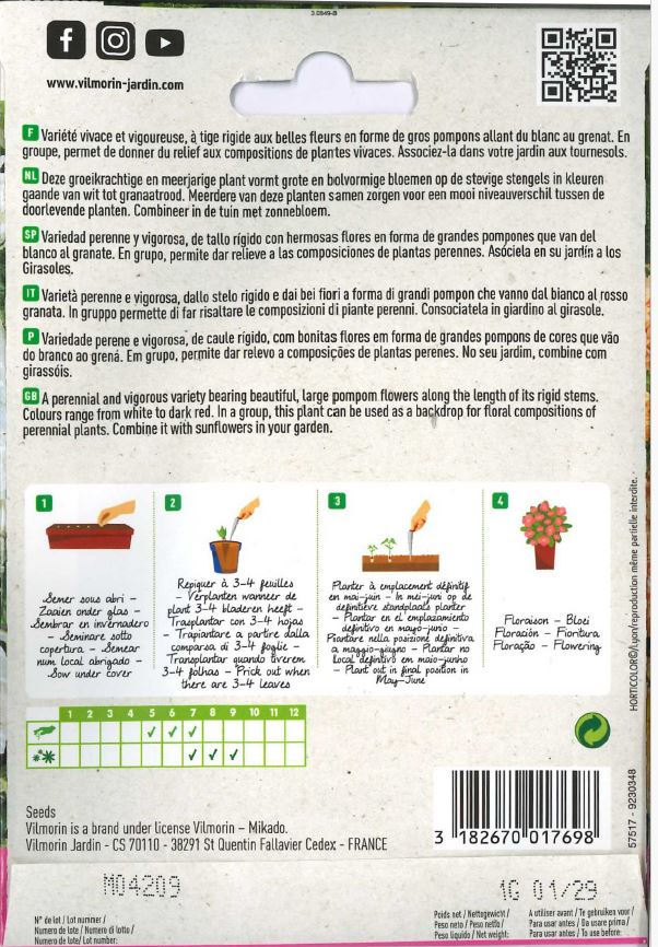 Семена королевской мальвы