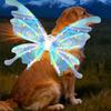 Электрические крылья феи для собак кошек Светящиеся движущиеся крылья бабочки со светодиодной подсветкой и музыкой Костюм светящихся крыльев для питомца для средних и крупных собак
