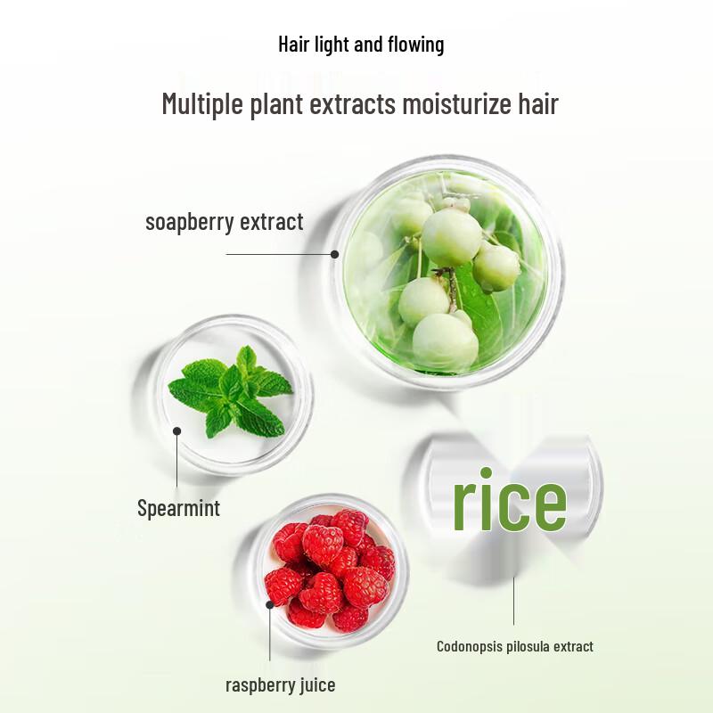 SEEYOUNG Sapindus Oil Control & Refreshing Hair Care Set