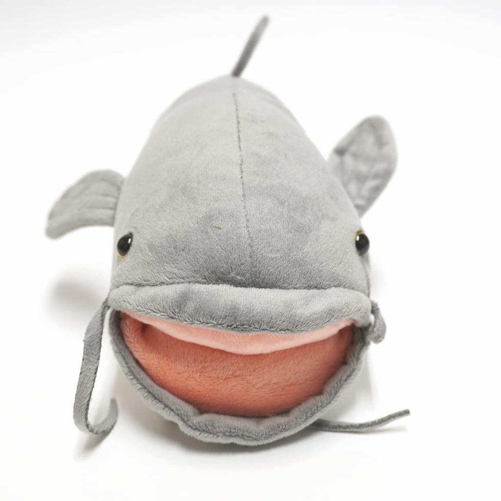 Exciting Picture Book - Freshwater Creatures Stuffed Animal (Catfish)