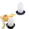 Automatic Pet Feeder Chicken Quail Poultry Bird Pheasant Feed Water Tool 300Ml