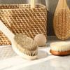 Wethin Bamboo Soft Body Brush