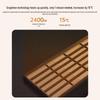 MICOE Graphene Ceiling Mount Bathroom Heater