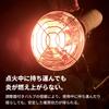Наружный газовый кассетный обогреватель Iwatani FORE WINDS, Компактный, Беспроводной, Для кемпинга, FW-OH01