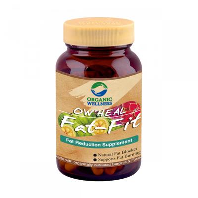 Фэт-Фит (90 кап), Fat-Fit,