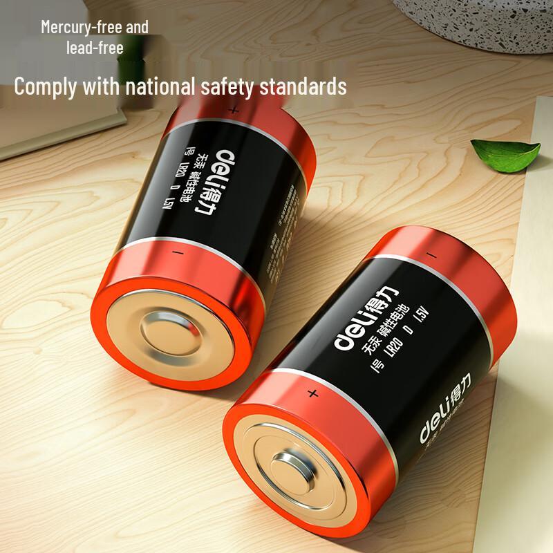 Deli LH100 D-Cell Alkaline Battery CN plug (adapter included)